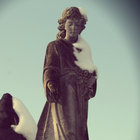 C.W Short thumbnail