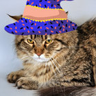Metal Cat thumbnail