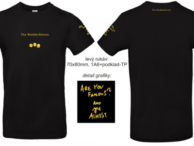 "Are you famous?" T-shirt Black main photo