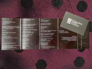 Limited Edition Cassette, image 5
