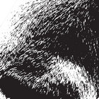 omarone della valpolicella thumbnail