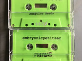 Juice Machine​/​embryonicpetisac Split tape photo 
