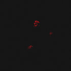 luvloofy thumbnail