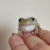 a little frog thumbnail