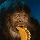 beef_calamity thumbnail