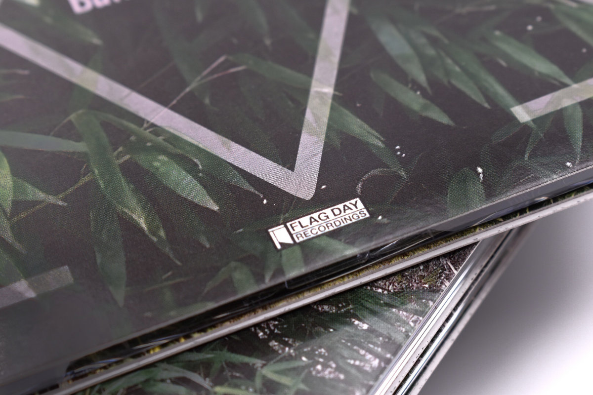 Bain d'Arsenic Bob Bellerue & Francisco Meirino Flag Day Recordings