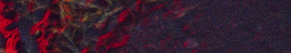VNTM — Photo