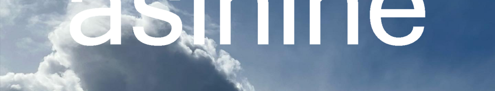Asinine — Photo · logo