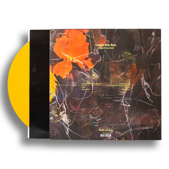 Under the Sun | Maya Shenfeld