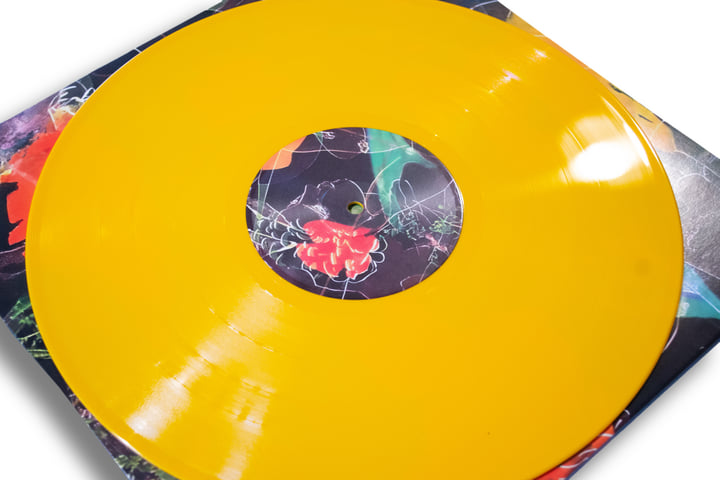 Under the Sun | Maya Shenfeld