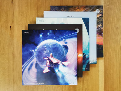 Vinyl LP discography + photo (PACKAGE DEAL) main photo