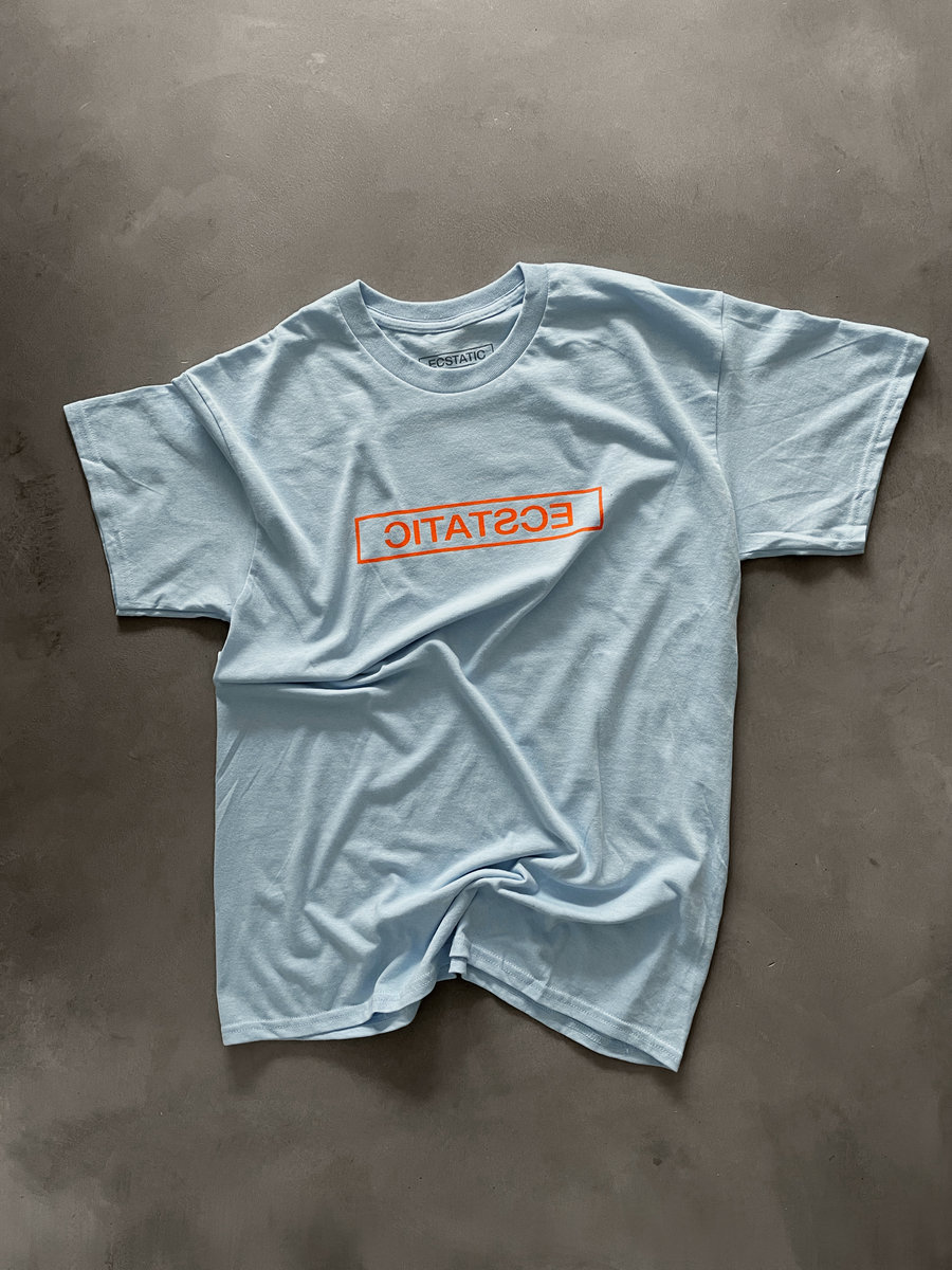ecstatic Tシャツ ecstatic Tシャツ