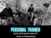 pint-sized punk zine issue 21 photo 