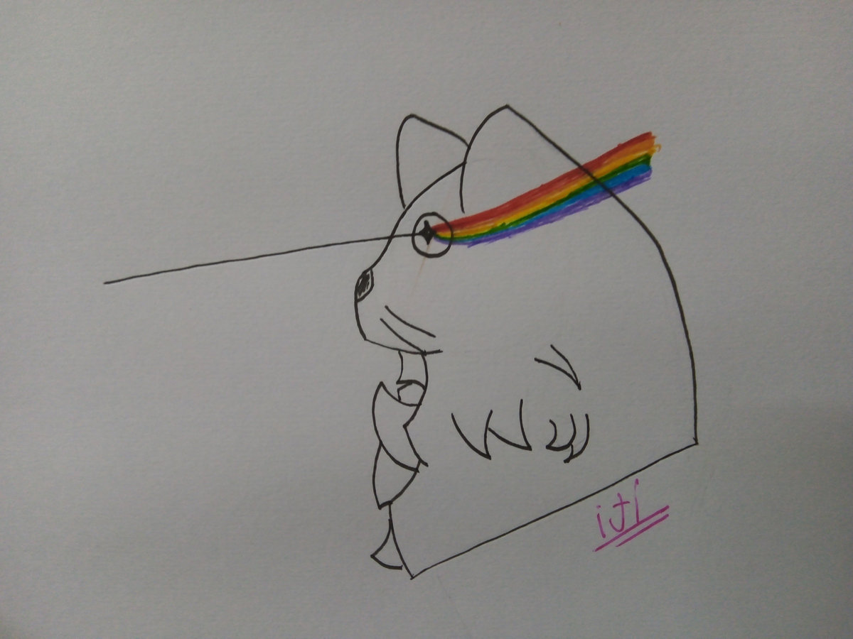 Estória | Raccoon soundroom