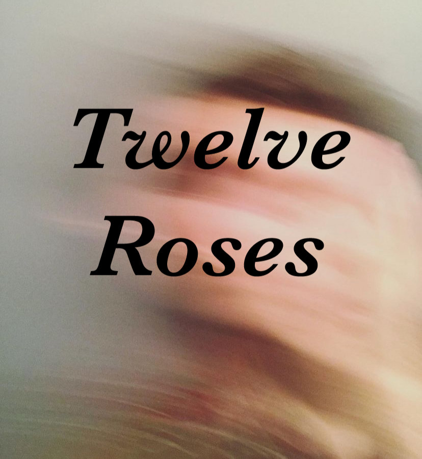 Birthday | Twelve Roses