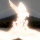 niilolehtonen thumbnail