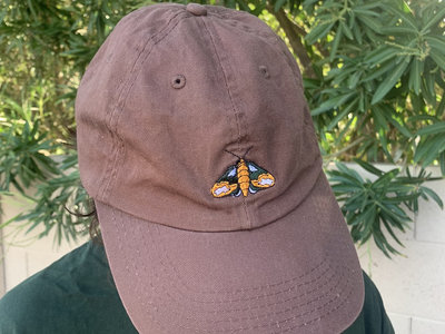 "Moth" Hats main photo