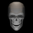 KinoGhoul thumbnail