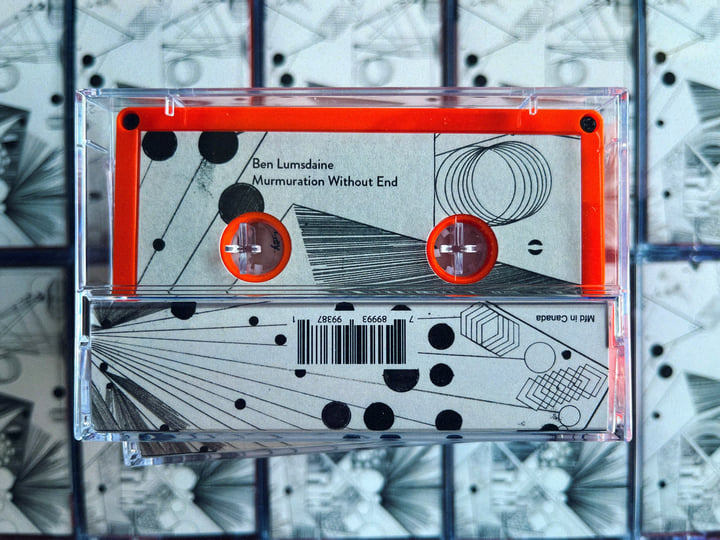 Murmuration Without End | Ben Lumsdaine | International Anthem