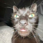 hakr0cat thumbnail