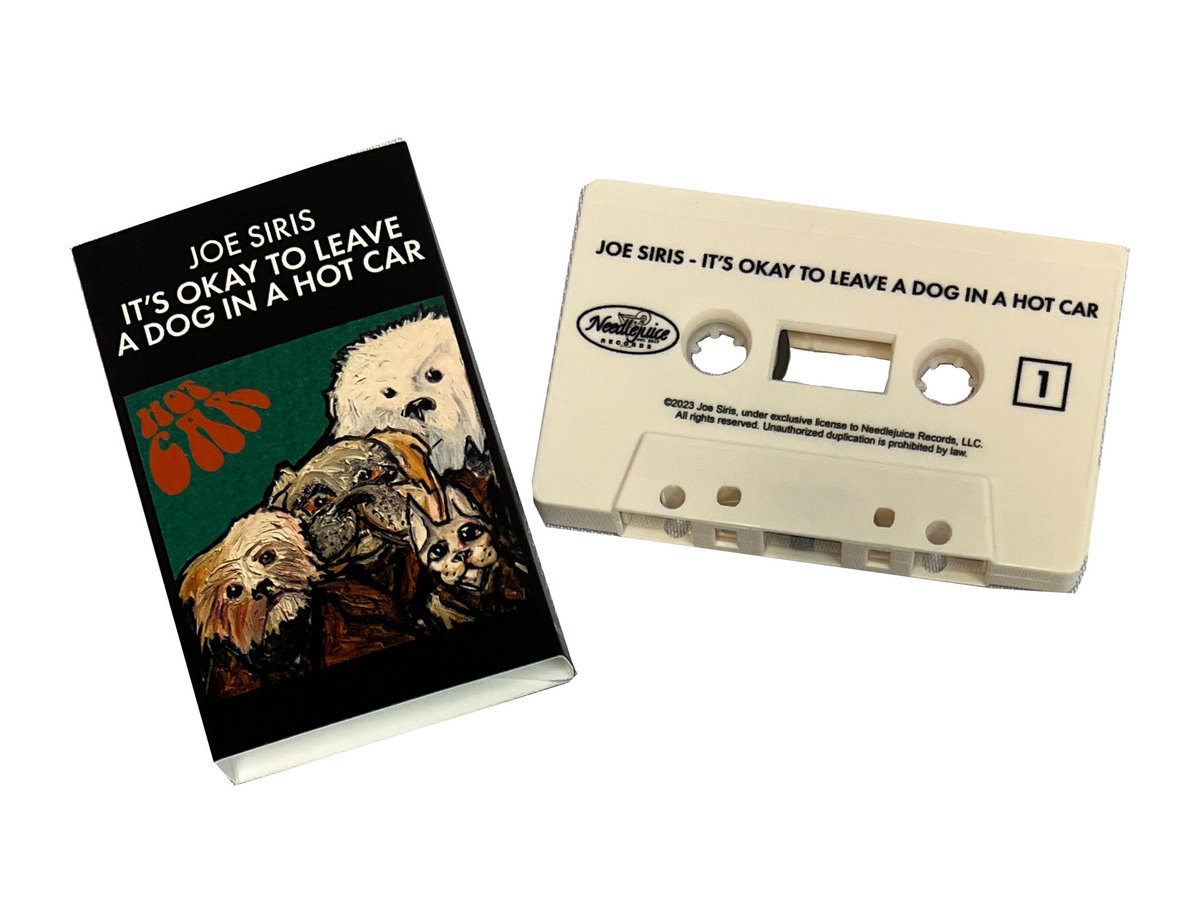 It's Okay to Leave a Dog in a Hot Car | Joe Siris | Needlejuice
