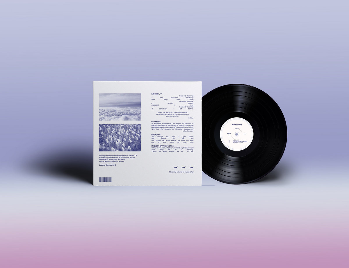 希少LISA ROXANNE NO FLOW レコード 0034101890_10.jpg