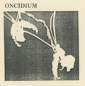 Oncidium image