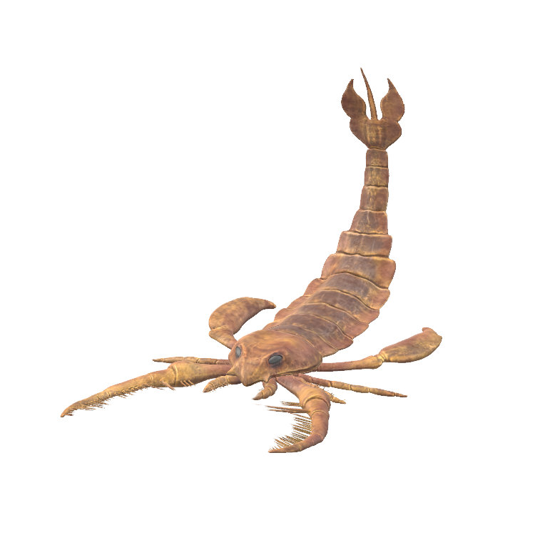 Gorbechev Please Linger