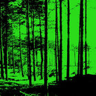 wokk_a thumbnail