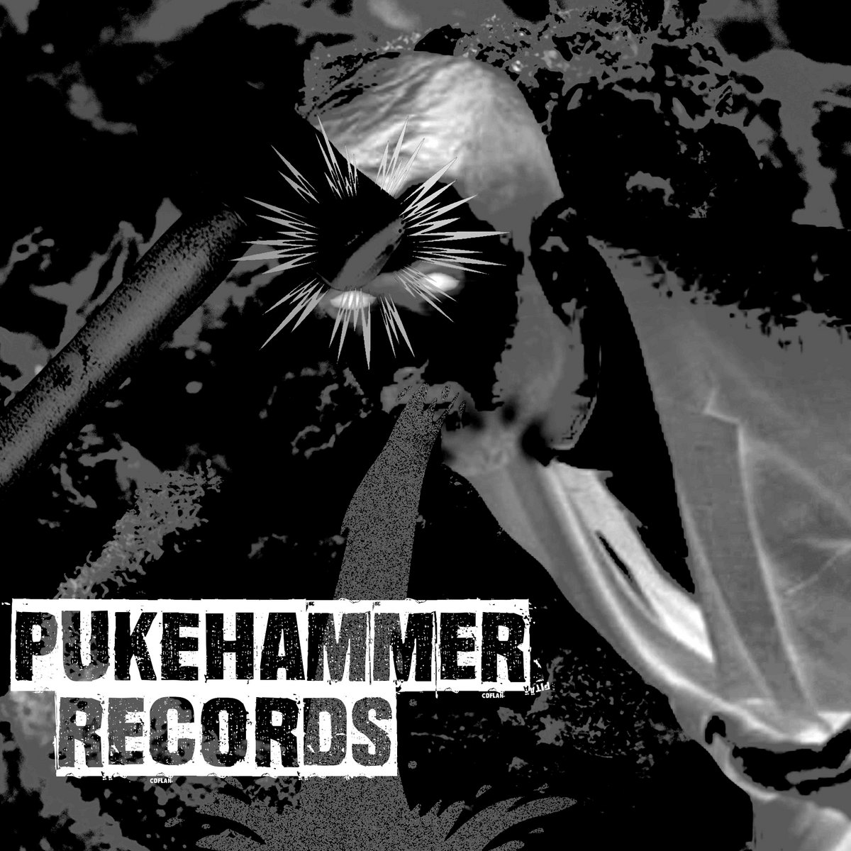 Sounds, Noises, Cats, and Dogs | Mayonnaise Donut | Pukehammer Records