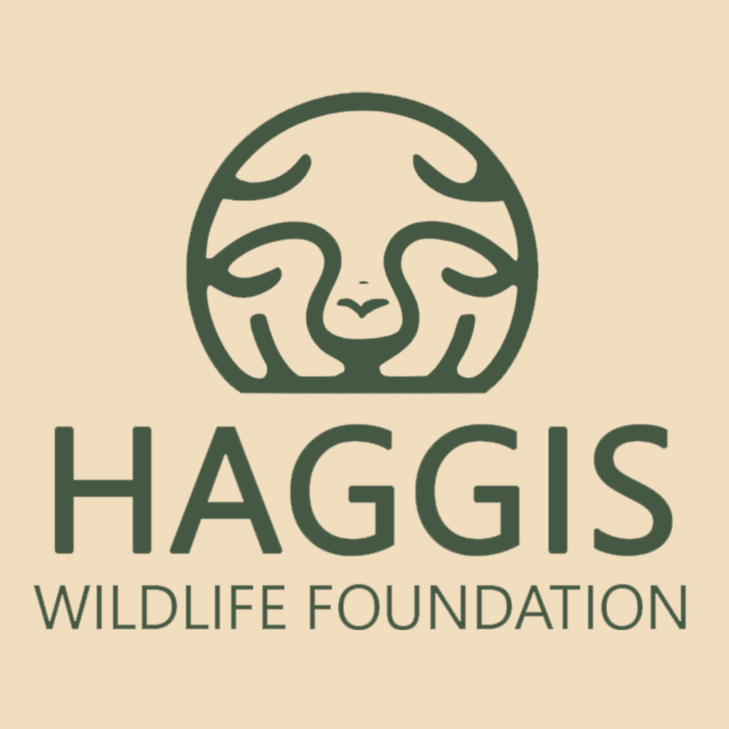 Nature Sounds Of The Scottish Wild Haggis Environment Volume One