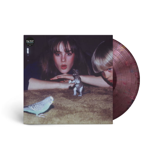 Big Thief - Masterpiece, Vinyl LP Big Thief - Masterpiece, Vinyl LP