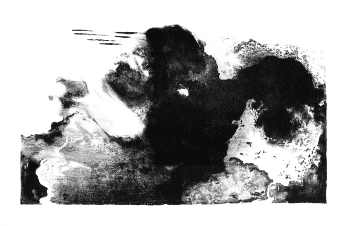 Dawn Chorus | Sontag Shogun