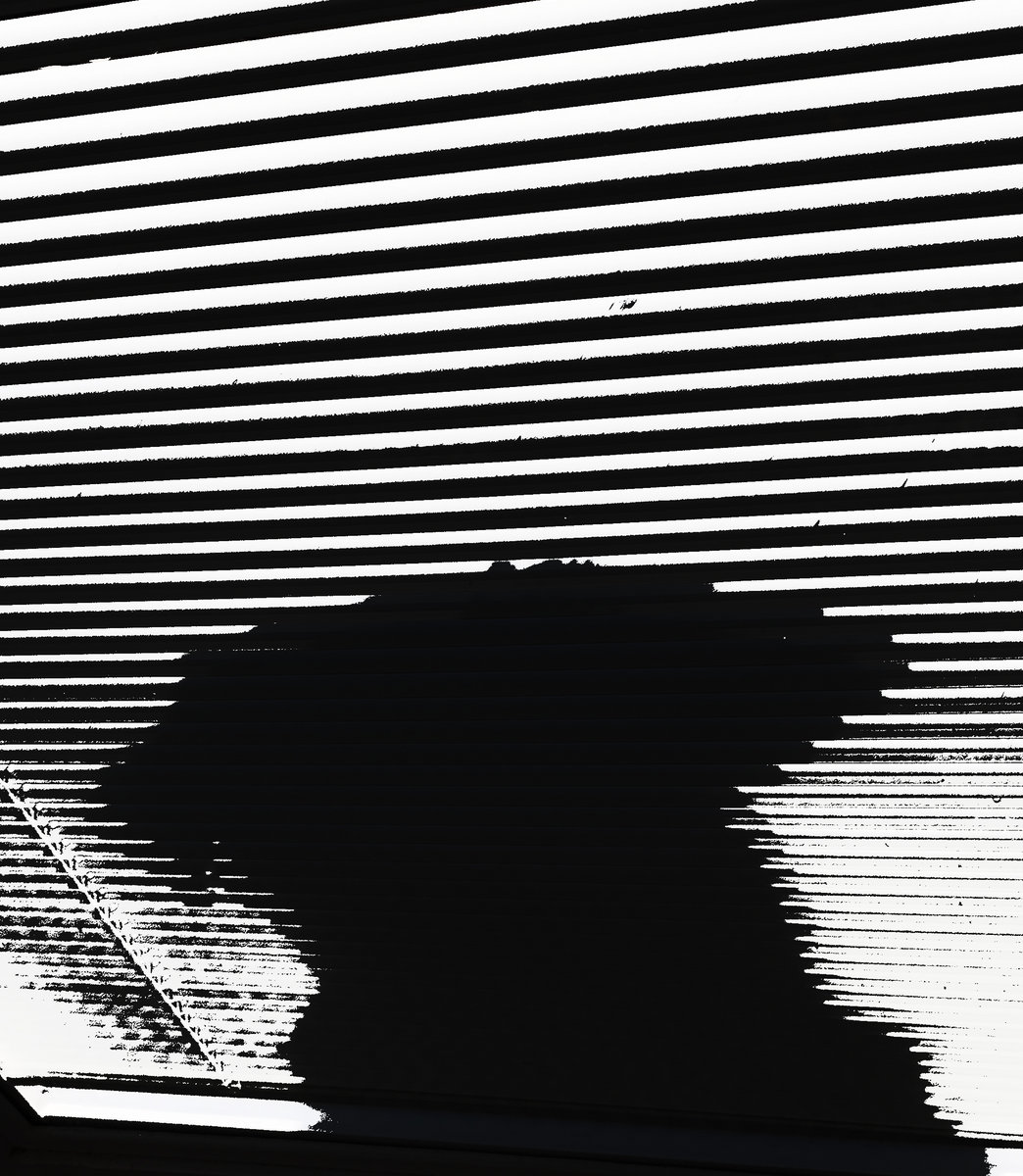 GREMLINS  シングル Gremlins x James Groman Stripe 12