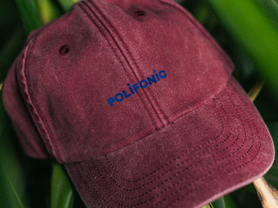 Red Hat with Blue Polifonic Logo main photo
