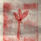 lulatennenbaum thumbnail