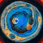 they_live thumbnail