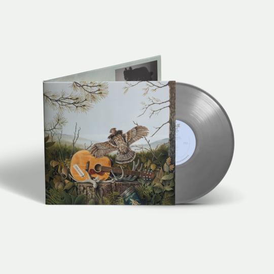 This Machine | The Dandy Warhols