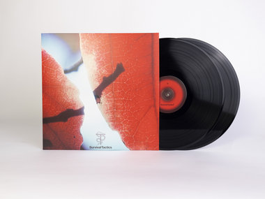 ST004LP - Tal Fussman - The Fine Line in Between 2x Vinyl LP main photo
