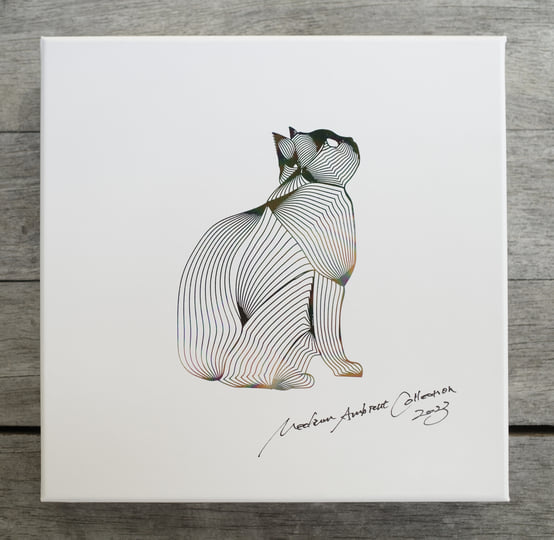 Medium Ambient Collection 2023 (physical only) | V.A | medium