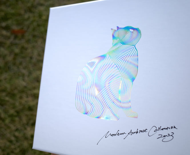 Medium Ambient Collection 2023 (physical only) | V.A | medium