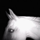 hypnotic thumbnail