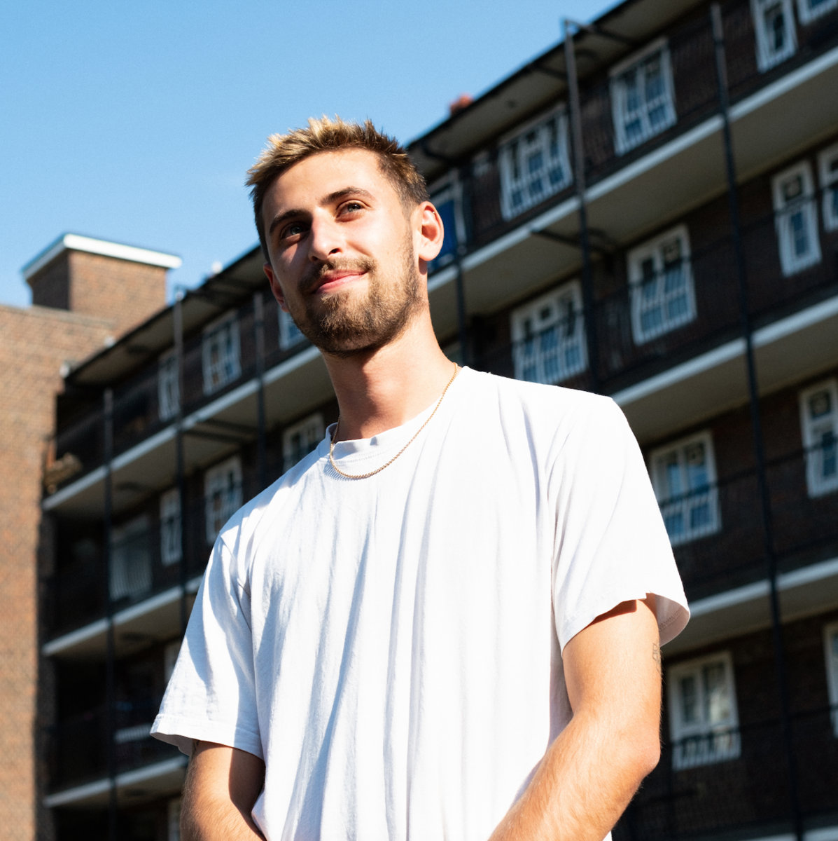 Potential Energy | Delano