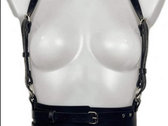 Body Harness 0.0 [1 stock 30%off] photo 