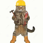 Cat Pounder thumbnail