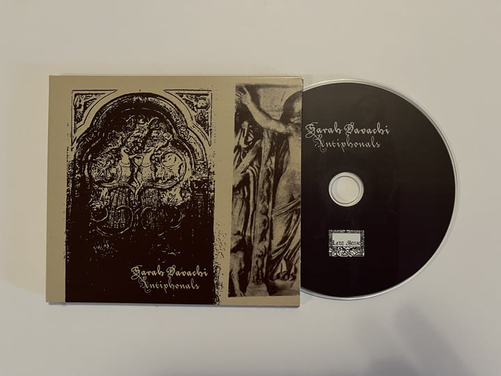 【LP】 Sarah Davachi / Antiphonals ＜限定盤＞ Antiphonals | Sarah Davachi