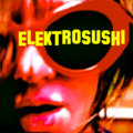 ELEKTROSUSHI image