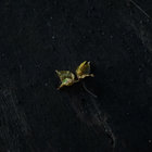 i-u thumbnail