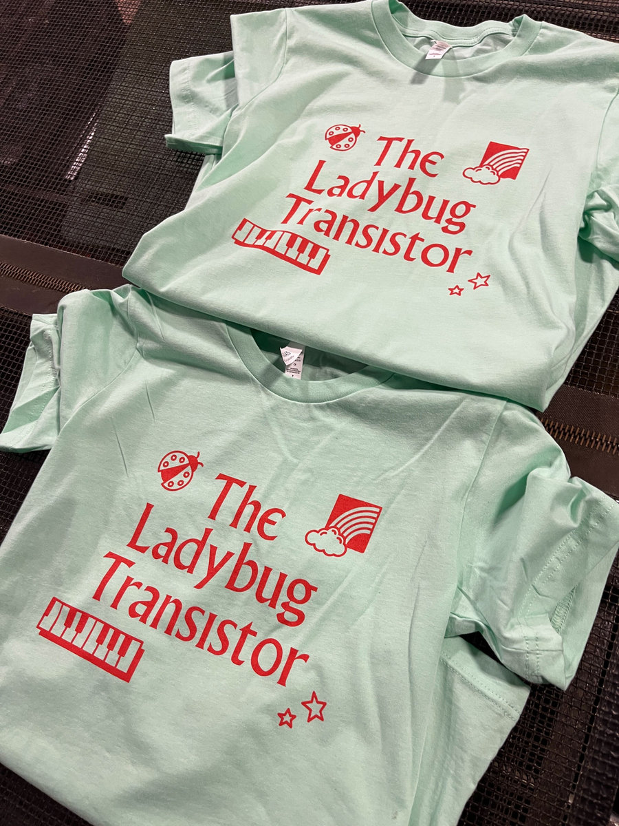 The Ladybug Transistor Rainbow Mint T-Shirt | The Garment District