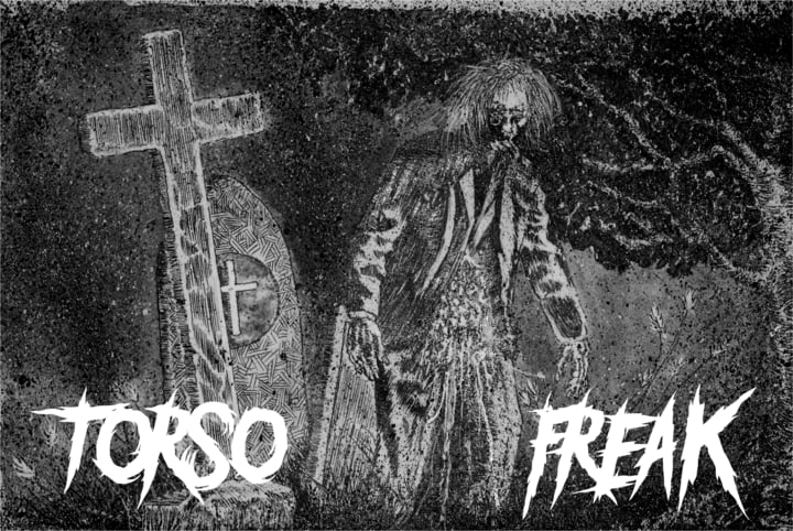 洋楽 Nekro-torso/torso grindcore 1991-1993 洋楽 Nekro-torso/torso grindcore 1991-1993 洋楽 Nekro-torso/torso